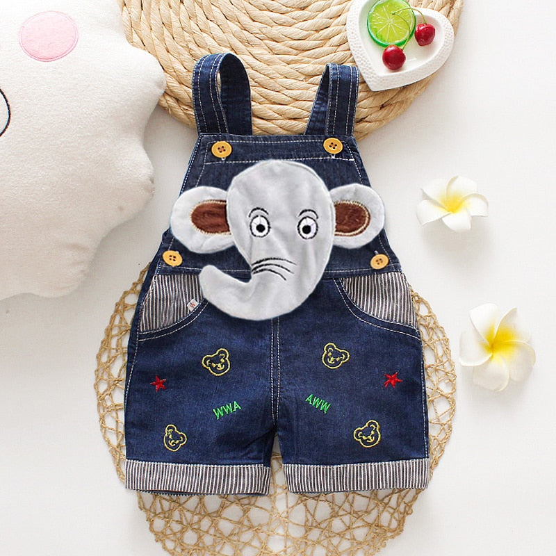 Boy's 9-24m Character Overalls