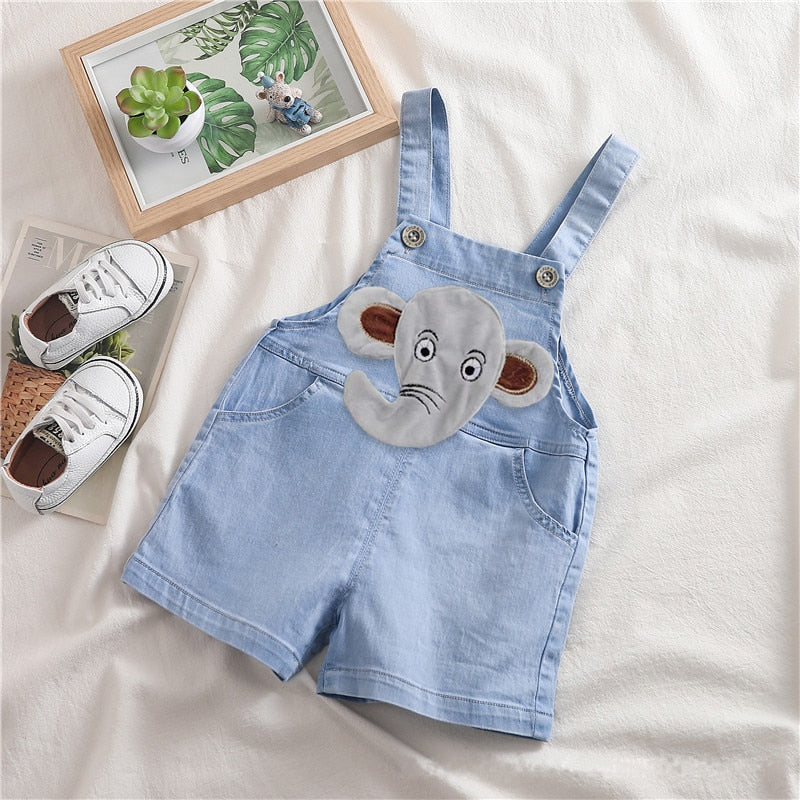 Boy's 9-24m Character Overalls